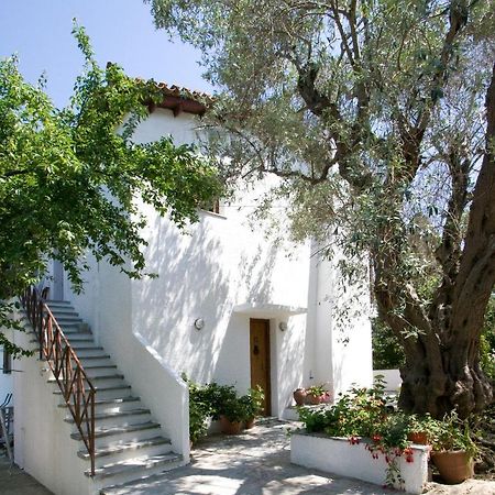 Villas Alexandra Skiathos Platanias  Zewnętrze zdjęcie