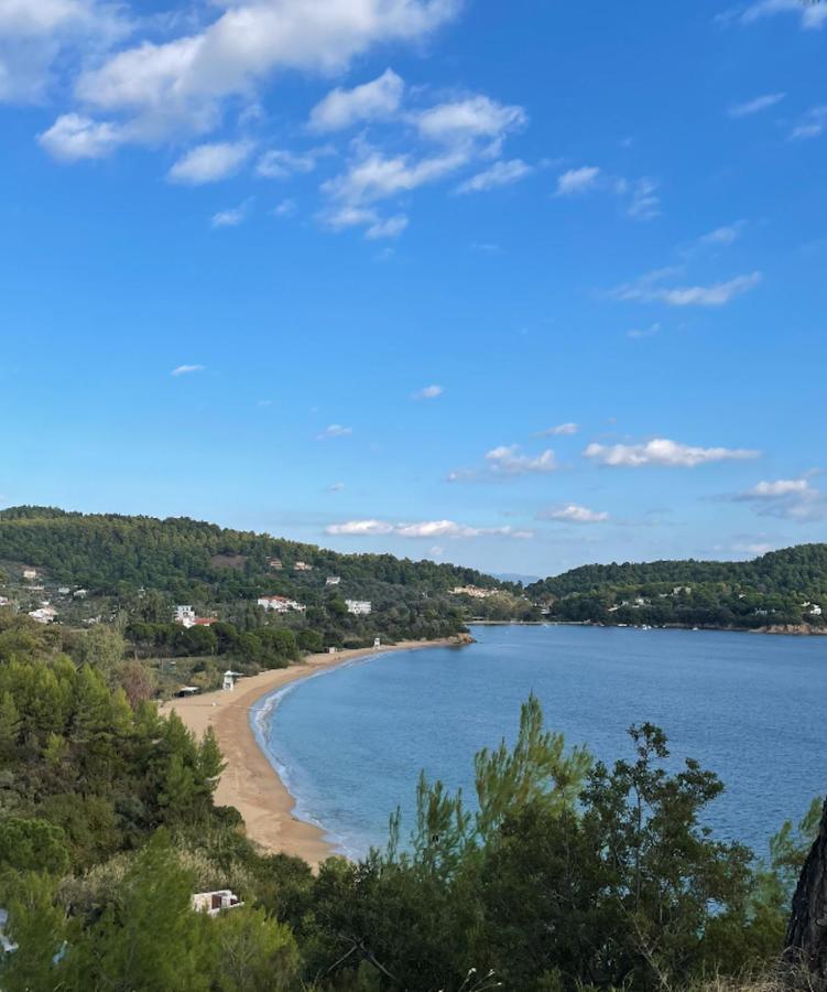 Villas Alexandra Skiathos Platanias  Zewnętrze zdjęcie