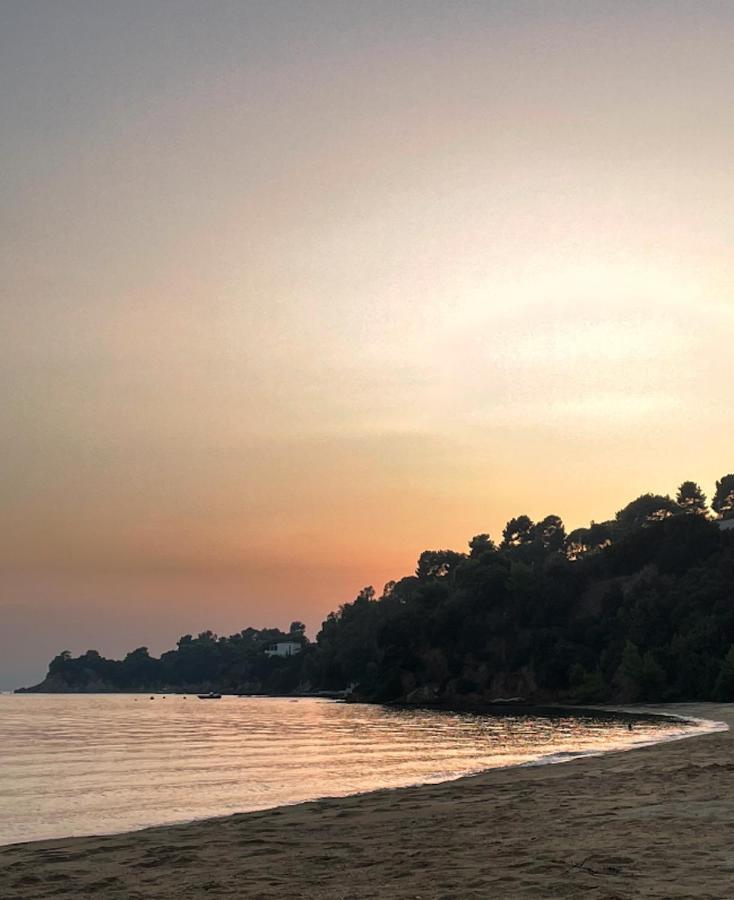 Villas Alexandra Skiathos Platanias  Zewnętrze zdjęcie