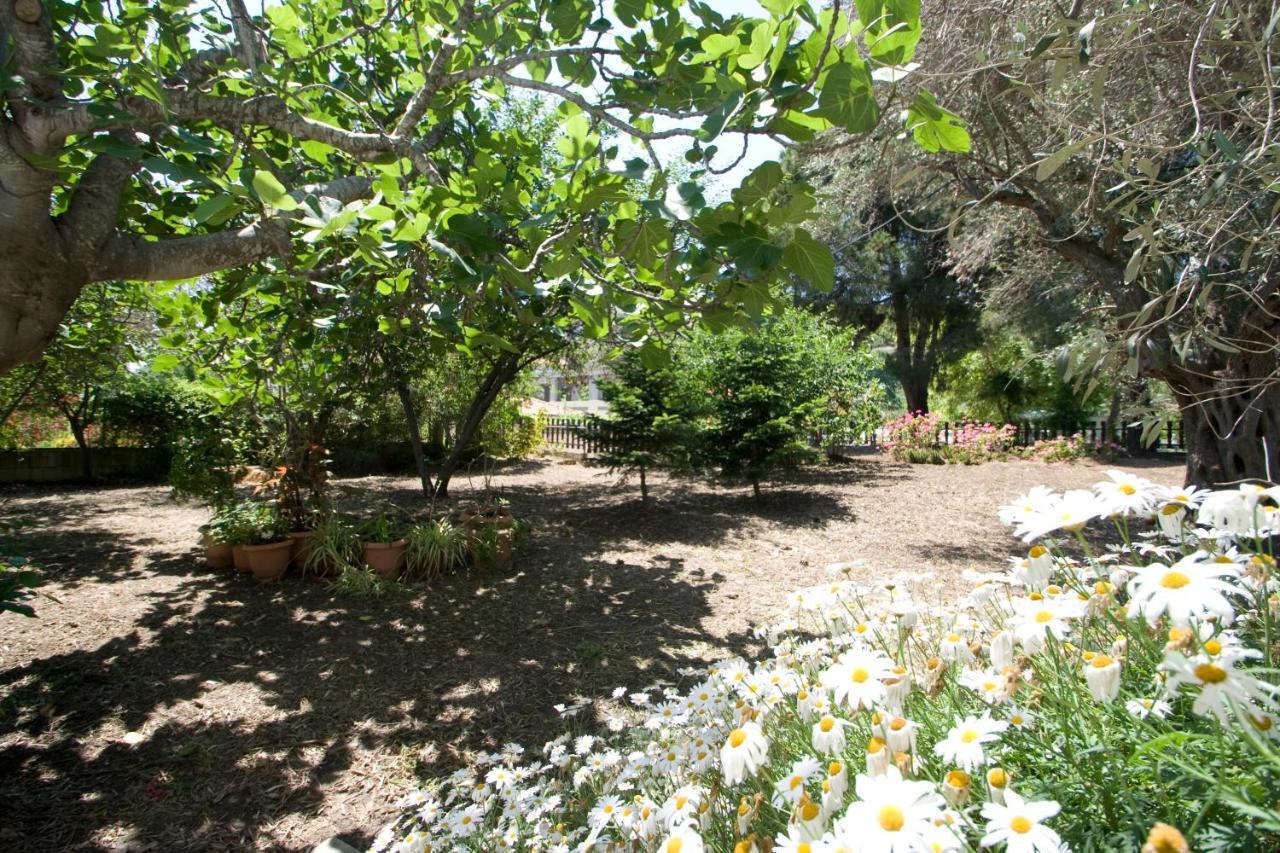 Villas Alexandra Skiathos Platanias  Zewnętrze zdjęcie