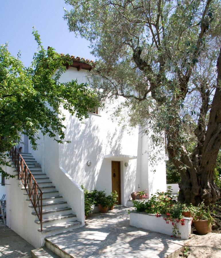 Villas Alexandra Skiathos Platanias  Zewnętrze zdjęcie